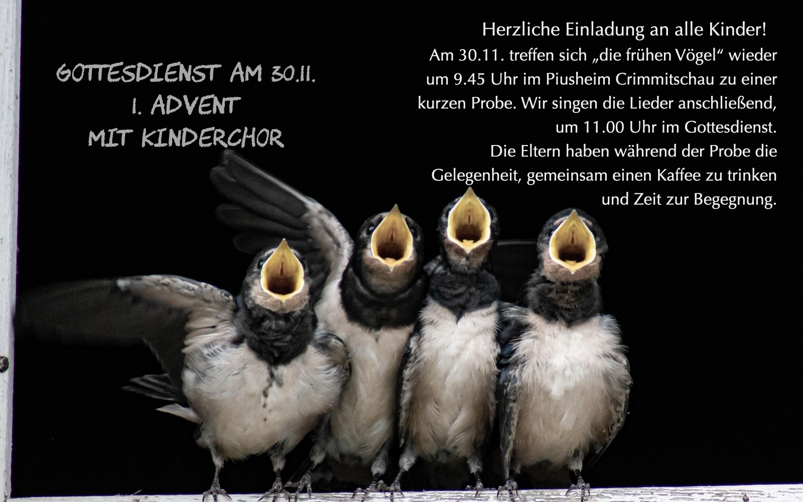 251130 die frühen Vögel.001